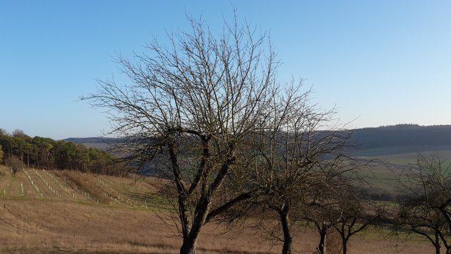 20210302_165327.jpg