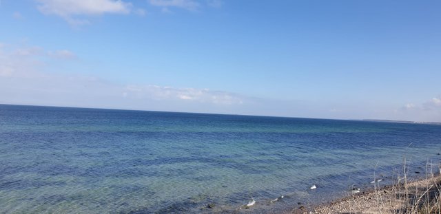 Strand 1.jpeg